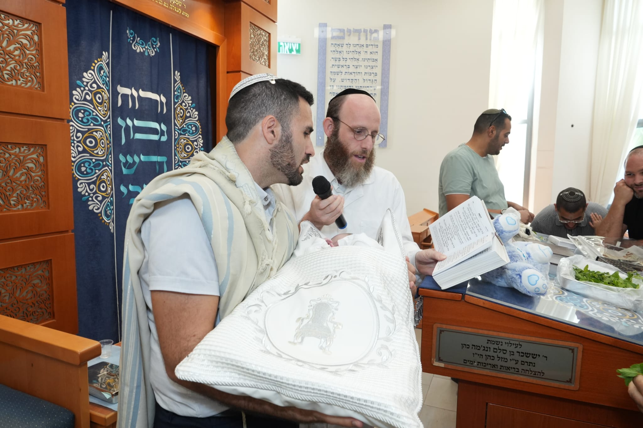 גלריה תמונה 6